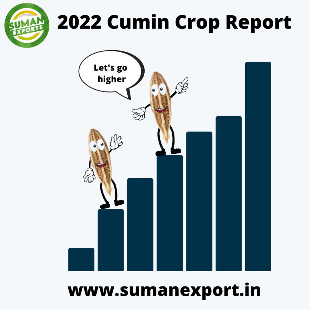 Cumin Crop Report 2022