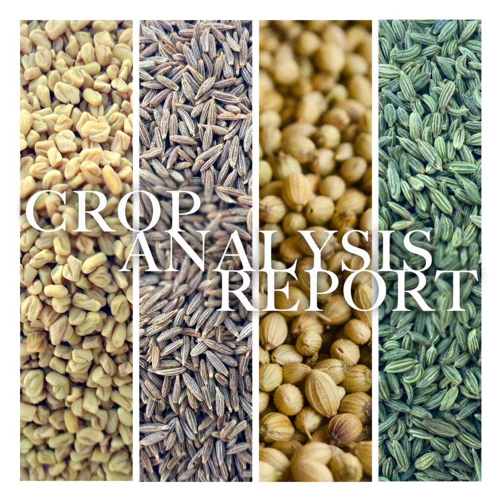 Crop Analysis Report (FISS – Unjha APMC)