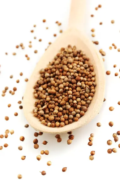 coriander seeds