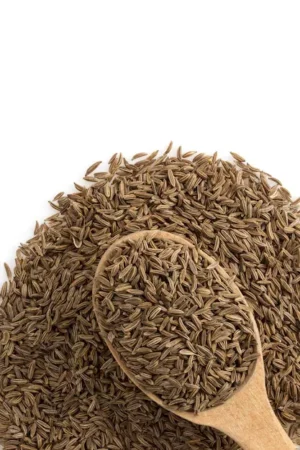 cumin seeds image