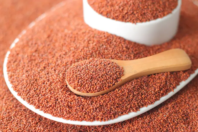 Asaliya – Halim Seeds