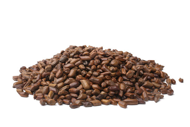 Cassia Tora Seeds – Fuwad Beej