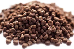 Musk Dana – Ambrette Seeds