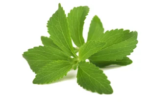 Stevia Leaves